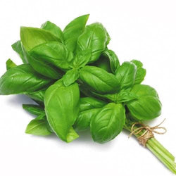 Basil (Per 50 Grams)