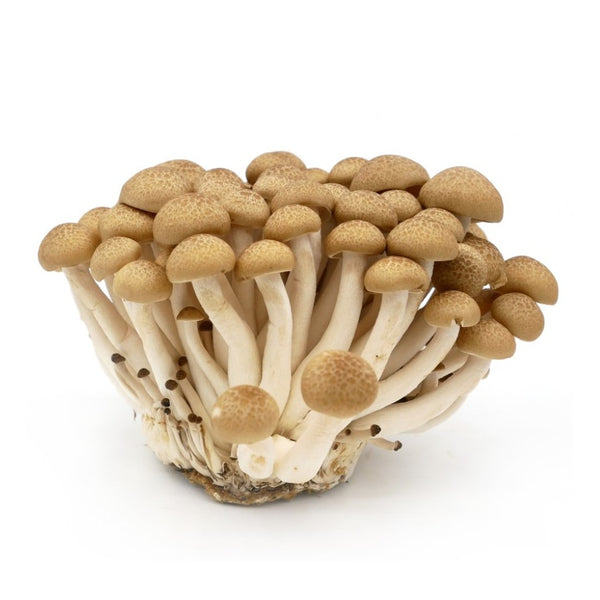 Buna Shimeji Mushroom (Per 125 Grams)
