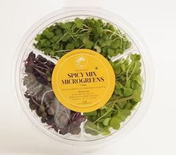 Krishi Cress - Spicy Micro Mix (Per pack)