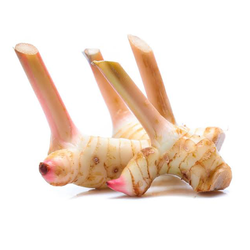 Thai Galangal (Per 250 Grams)