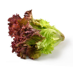 Red Lettuce (Per packet - 250 Grams)