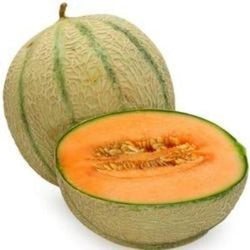 Honey Melon (Per Piece 500-600 gms)