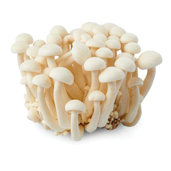 White Shimeji Mushroom (Per 125 Grams)